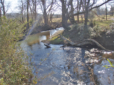 North Mouse Creek