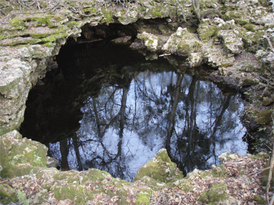 One of the Sinks