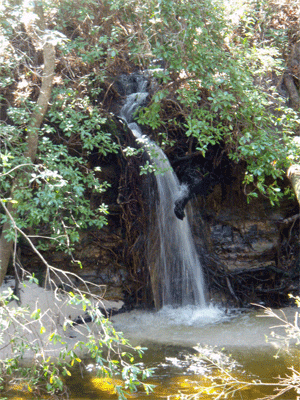 Econfina Falls