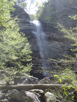 Laurel Falls