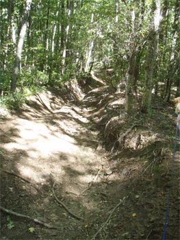 4-Wheeler Damage to the trail