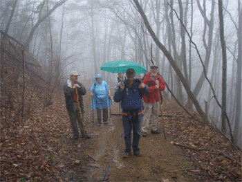 A foggy hike