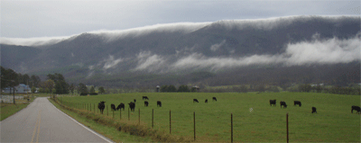 View of Starr Mountain from the valley floor