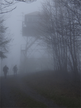 Starr Mountain Firetower