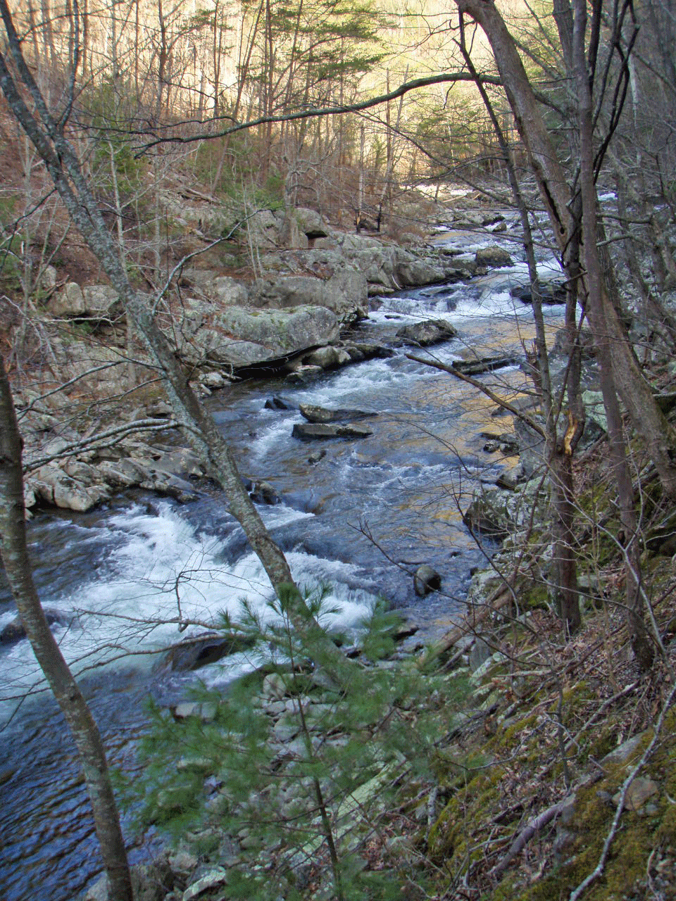 Tellico River below Bald River Falls