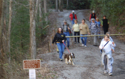 Coming down the hill from the Thunder Rock Express to FS45