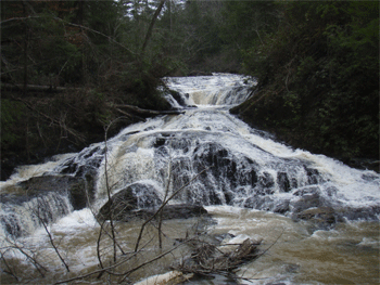 The Lower Falls