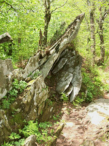 Rock outcropping near Stratton Bald