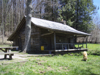 The Swan Cabin