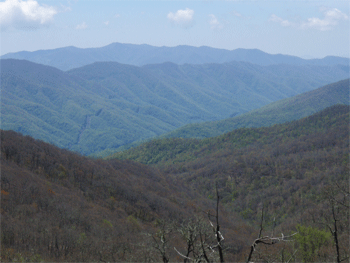 View south from Cheoah Bald