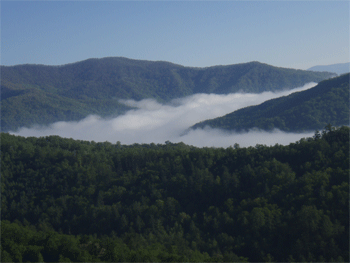 Morning fog over Santellah Creek