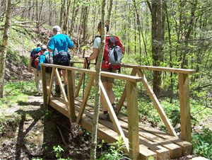 A new bridge on the Bartram Trail