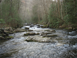 The South Citico Creek Crossing of the Brush Mtn Trail