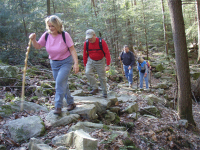 Negotiating the Rock Garden