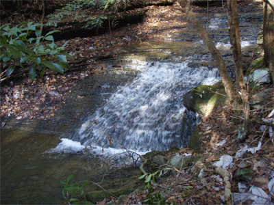 A waterslide along the East Fork of Mullins Creek