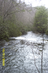 The river rolls on to the ocean