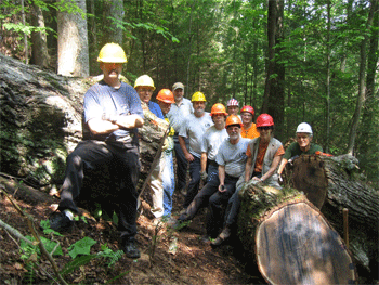 36 inch chestnut oak on the Cow Camp Trail, 280 years old