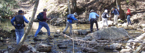 Crossing Rock Creek