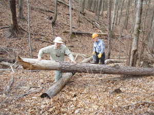 Robert Thomas teaching us in the woods