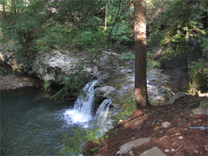 Waterfall on Big Fiery Gizzard Creek