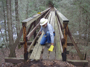 Blue hammering in a plank